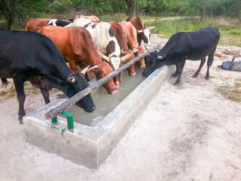 Pompe solari per l’acqua potabile e uso agricolo in Zimbawe